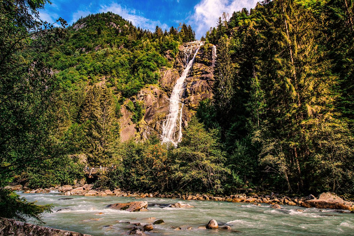 La capitale verde del Trentino è la piccola città che ospita una pineta da sogno