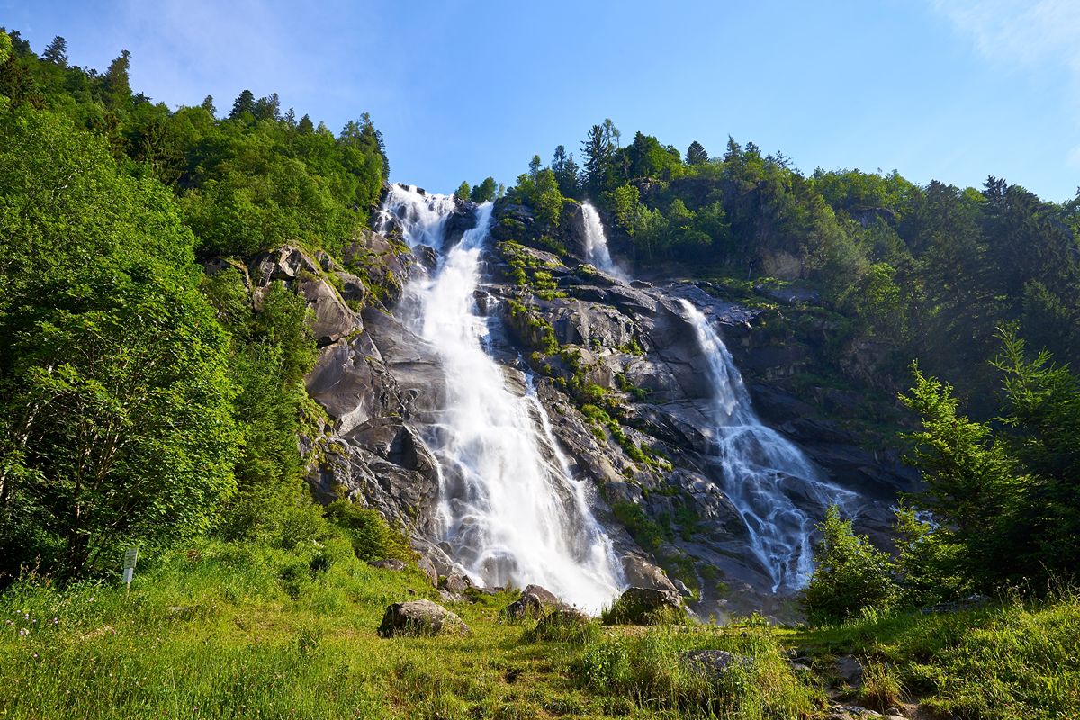 La capitale verde del Trentino è la piccola città che ospita una pineta da sogno