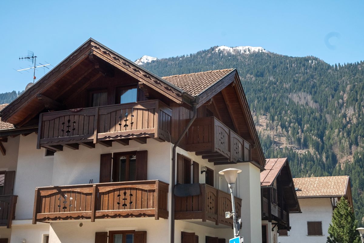La capitale verde del Trentino è la piccola città che ospita una pineta da sogno