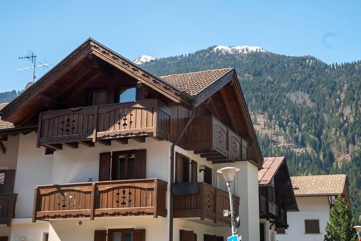 La capitale verde del Trentino è la piccola città che ospita una pineta da sogno