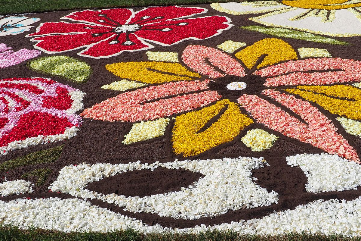 Farina, semi e crusca: alle porte di Roma c'è l'unica Infiorata al mondo con il pane a posto dei fiori