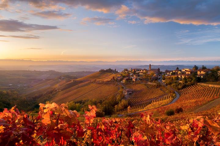 foliage-in-italia_2203925213