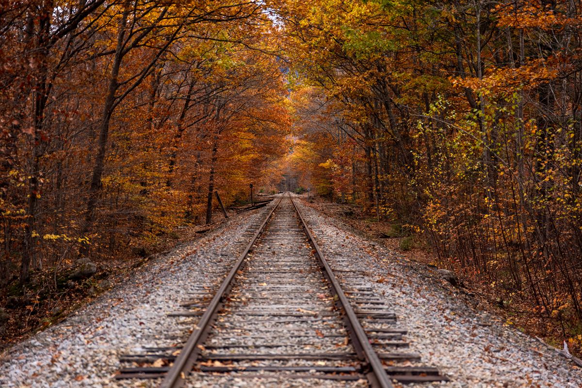 Treno del Foliage 2026: prezzi, orari e biglietti della Vigezzina Centovalli