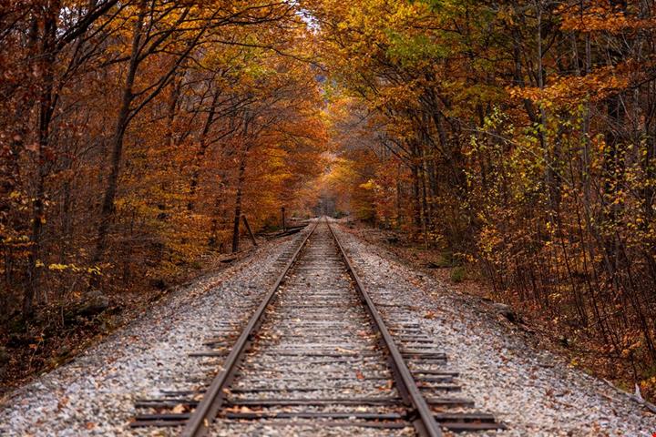 treno-foliage-2026_2713957977