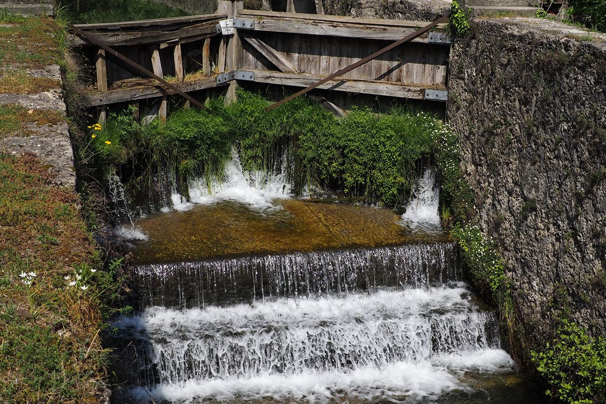 Sul fiume Adda c'è il molino più antico della Lombardia: esiste dal 1641 ed è una vera oasi immersa nel verde