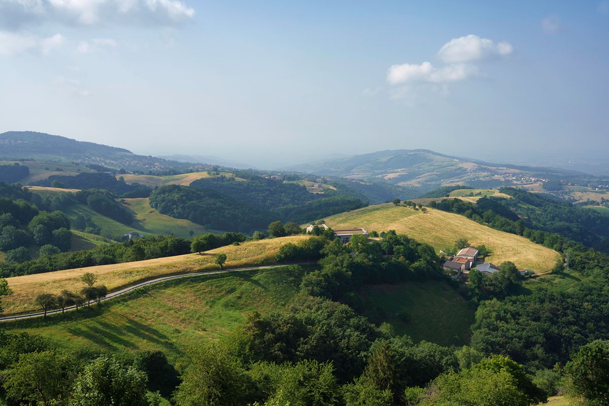 La valle veneta dei ponti sospesi: cammini sopra il vuoto tra boschi e torrenti