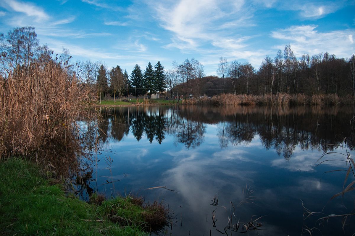 Le fiabe non centrano: vicino Torino c'è il lago di Alice, uno specchio d’acqua tra le colline del Canavese