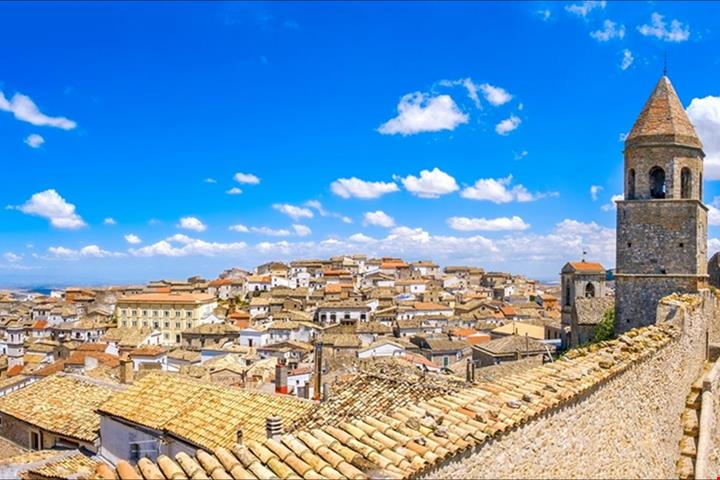 Bovino (2)