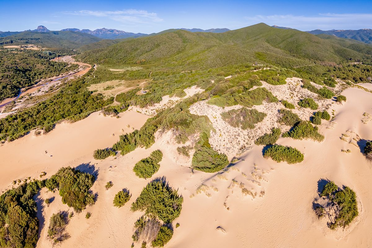 Non è il deserto, ma la Sardegna: sull'isola ci sono delle dune di sabbia che arrivano fino a 100 metri d'altezza