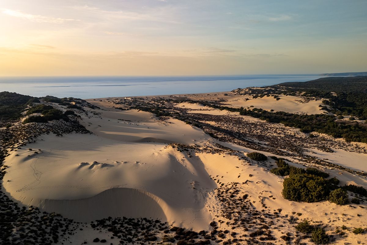 Non è il deserto, ma la Sardegna: sull'isola ci sono delle dune di sabbia che arrivano fino a 100 metri d'altezza