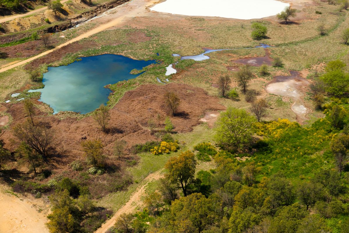 Se pensavi che il sughero venisse solo dalla Sardegna, questo parco a 2 passi da Roma ti farà cambiare idea