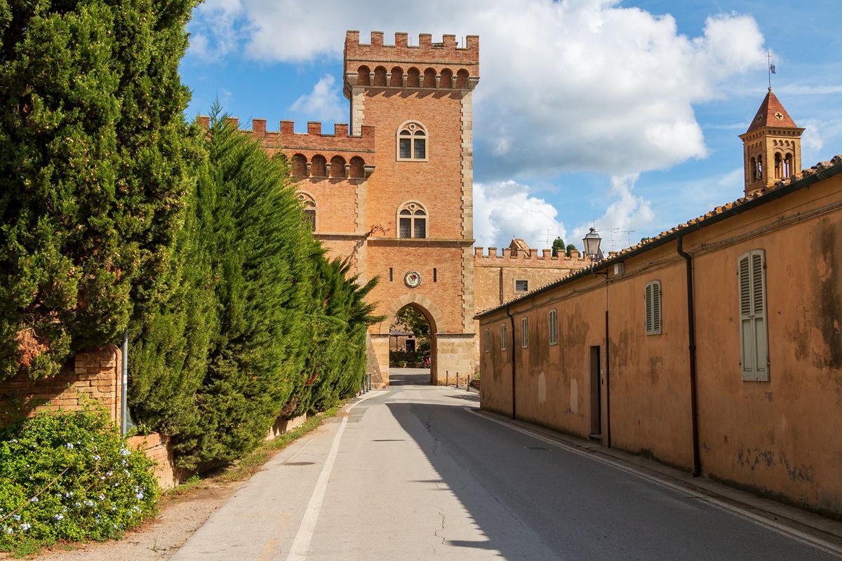 Il viale più bello d'Italia è un rettilineo lungo 5 chilometri protetto da quasi 2500 alberi