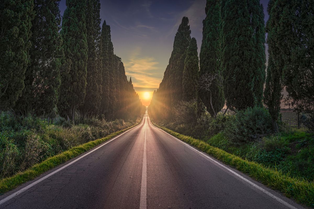 Il viale più bello d'Italia è un rettilineo lungo 5 chilometri protetto da quasi 2500 alberi