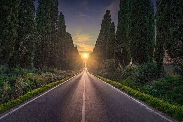 Il viale più bello d'Italia è un rettilineo lungo 5 chilometri protetto da quasi 2500 alberi