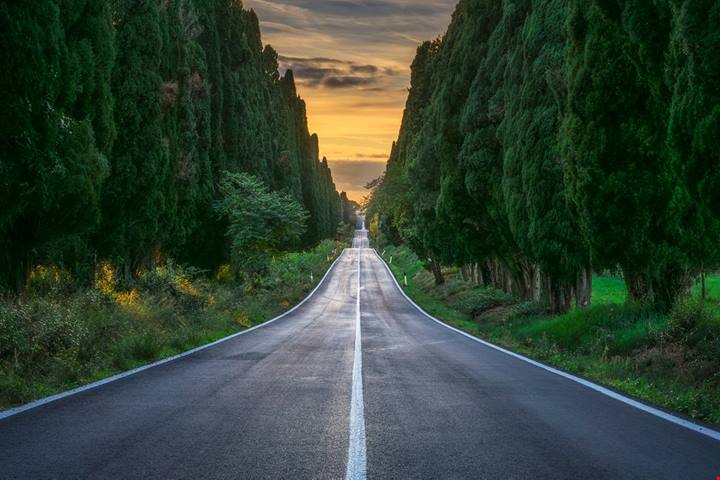 Il viale più bello d'Italia è un rettilineo lungo 5 chilometri protetto da quasi 2500 alberi
