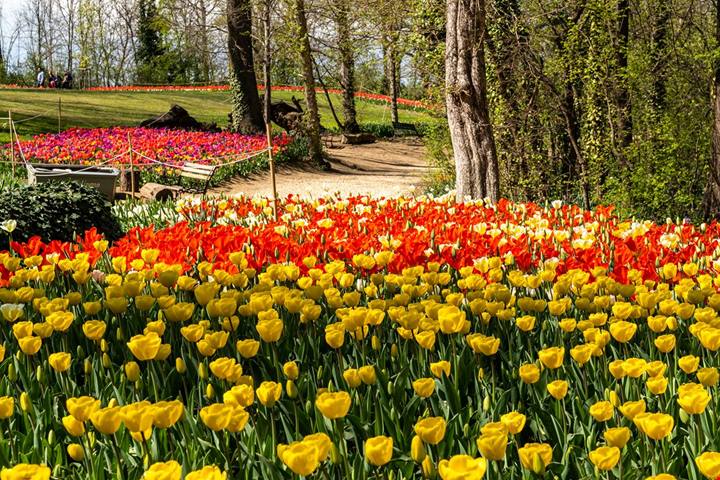 Messer Tulipano e un magnifico giardino all'inglese: in Piemonte c'è un castello che è uno spettacolo