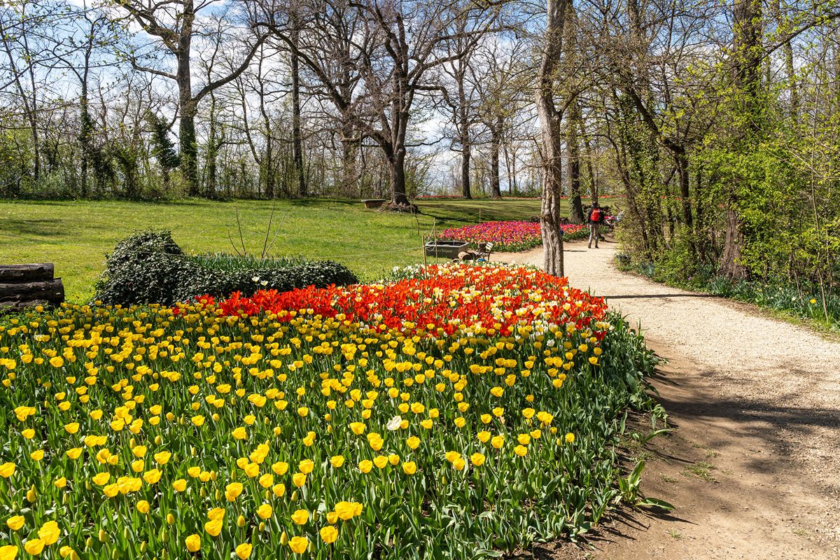 Messer Tulipano e un magnifico giardino all'inglese: in Piemonte c'è un castello che è uno spettacolo