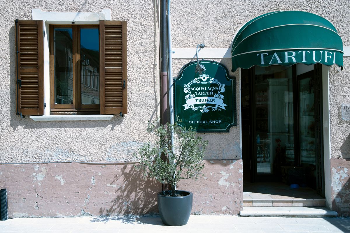 La capitale italiana del tartufo non è quella che ti aspetti: qui si produce (e vende) il miglior fungo d'Italia
