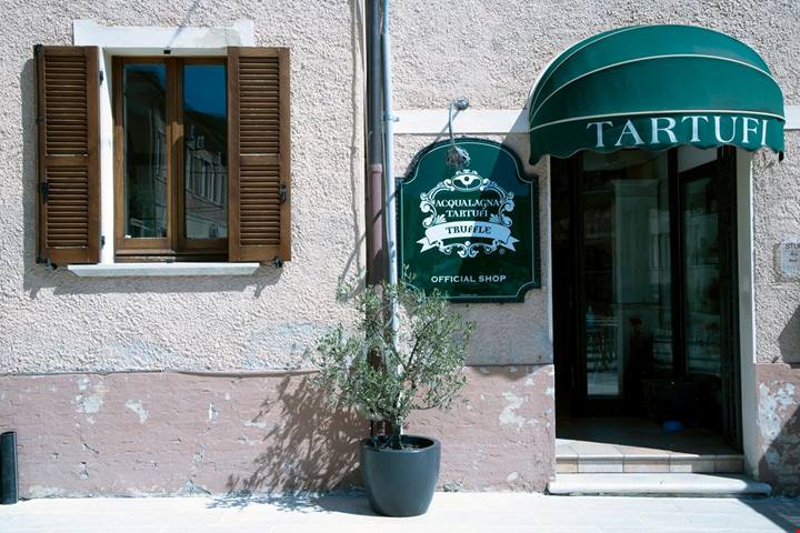 La capitale italiana del tartufo non è quella che ti aspetti: qui si produce (e vende) il miglior fungo d'Italia