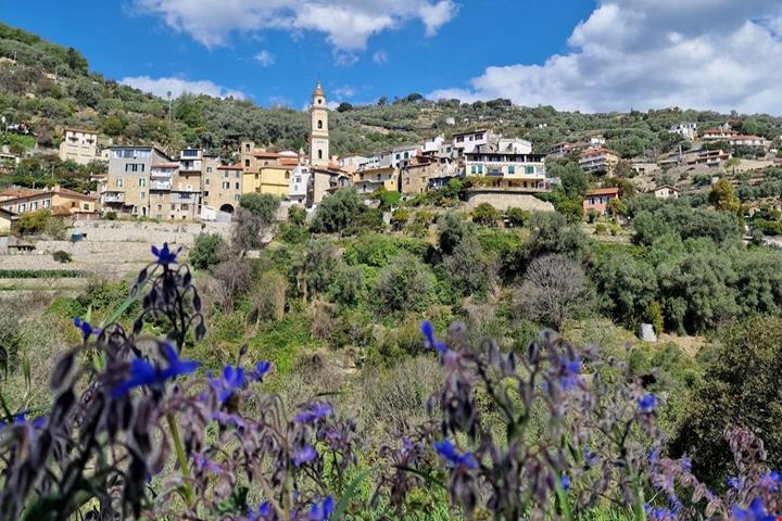 Vallebona (2)