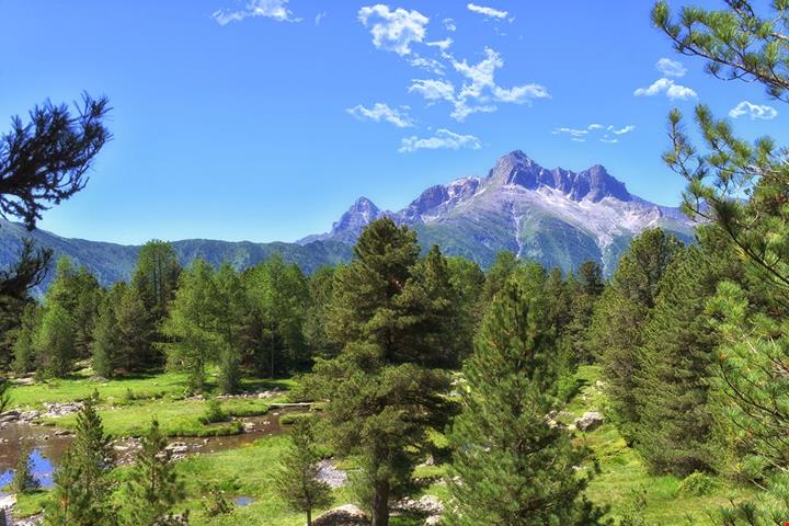 Bosco dell'Alevé (2)