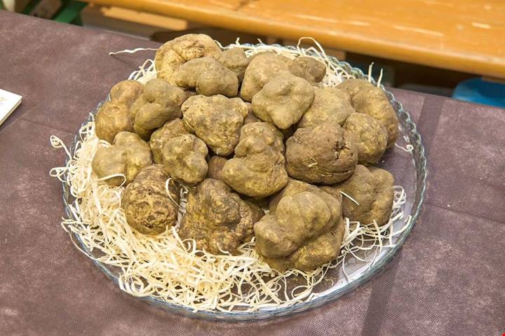 Il tartufo bianco del Piceno arriva a Milano: torna il festival Bianco d'Autore 2026