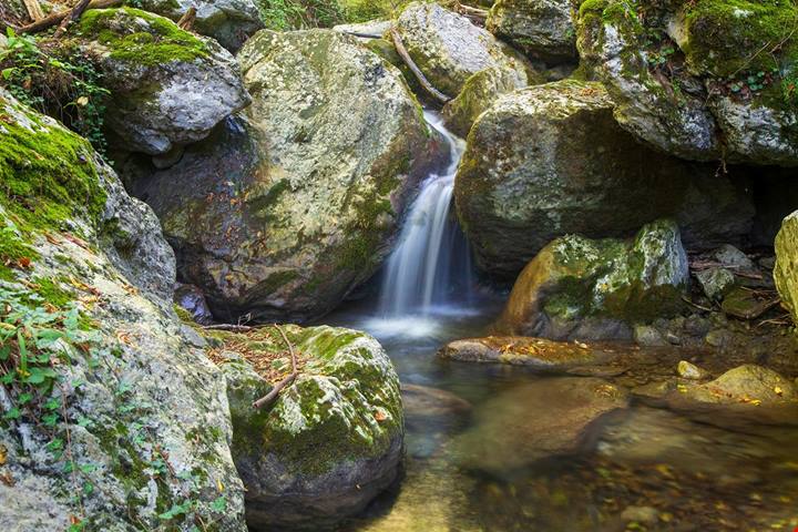 Il paese del tartufo e dell'orso bruno: è lui il borgo della Ciociaria che incanta con una natura incontaminata