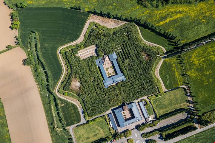 Perdersi in 200mila piante di bambù: in Emilia c'è un labirinto gigantesco che sembra non finire mai
