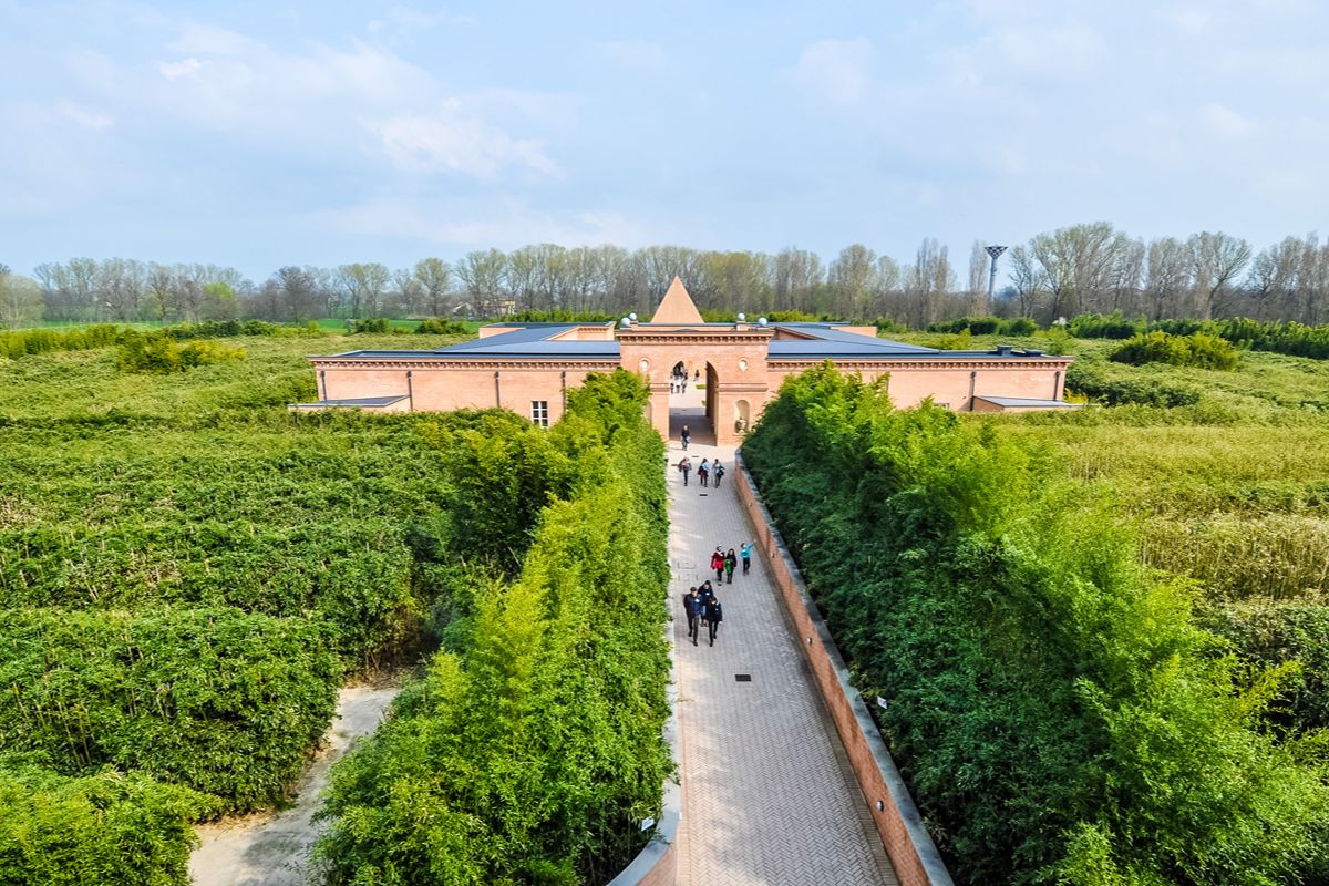 Perdersi in 200mila piante di bambù: in Emilia c'è un labirinto gigantesco che sembra non finire mai