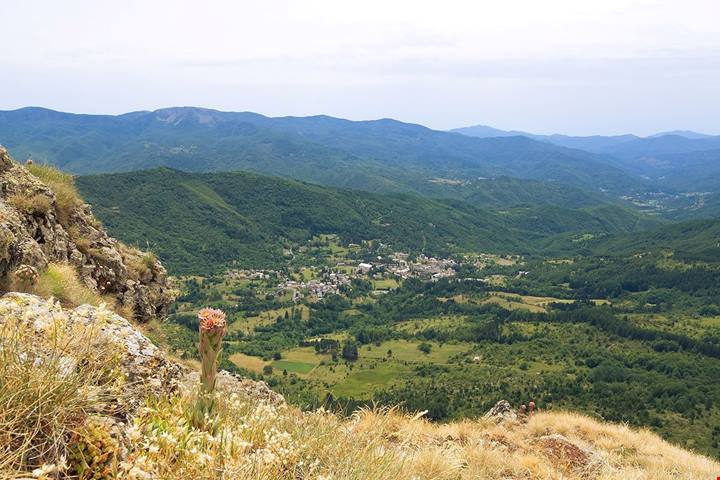 Dimenticati della costa: questo paese dell'entroterra ligure è il posto perfetto da vivere in autunno