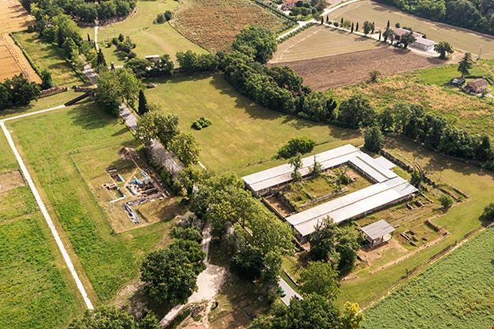 Marche, il più grande parco archeologico dell'antica Roma dove camminare tra 40 ettari di storia