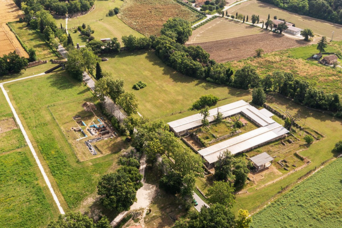 Marche, il più grande parco archeologico dell'antica Roma dove camminare tra 40 ettari di storia