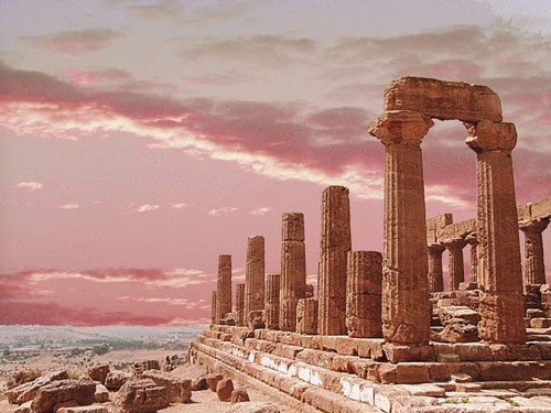 hera in rosa