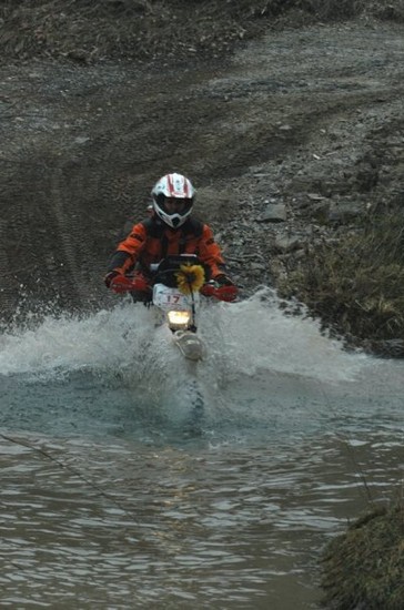 Un guado sul fiume Orcia