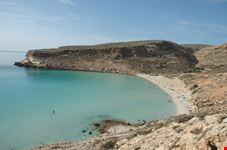 Isola dei conigli