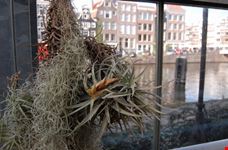 orto botanico interno