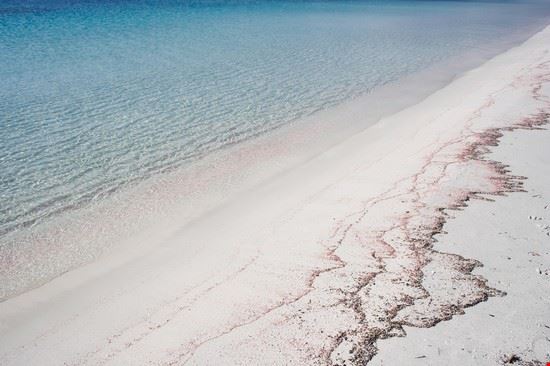  Formentera Amanda Perkins - ©Shutterstock Amanda Perkins - ©Shutterstock