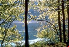 Parco Regionale dei Laghi - Bacino di Suviana