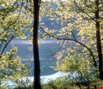Parco Regionale dei Laghi - Bacino di Suviana Parco Regionale dei Laghi - Bacino di Suviana