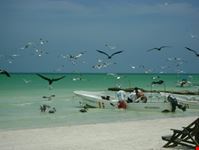 spiaggia Holbox