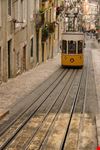 Il tram 28 in servizio