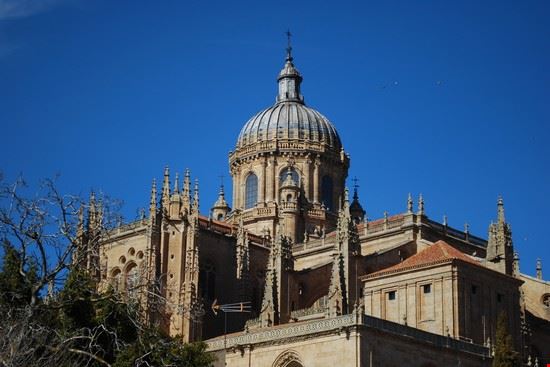 Catedral Nueva - Fonte: ©Luis Santos - Shutterstock - ©Luis Santos - Shutterstock - ©Luis Santos - Shutterstock