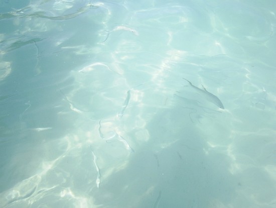 Mare cristallino
