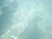 Mare cristallino