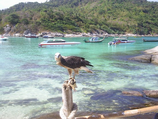 Punto panoramico