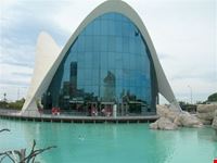 l'acquario