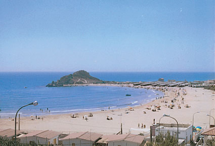 licata