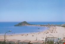 licata