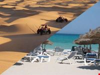 Raid Mare & Dune