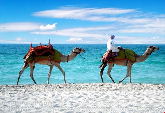 Palm Island - Fonte: rpixs - ©Shutterstock - rpixs - ©Shutterstock - rpixs - ©Shutterstock